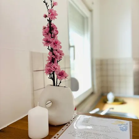 Oak Root Apartman Mostar