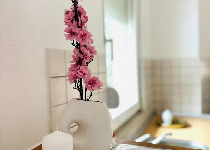 Oak Root Apartman Mostar